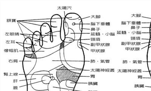 >足底按摩额窦 怎么通过足底按摩治疗鼻窦炎