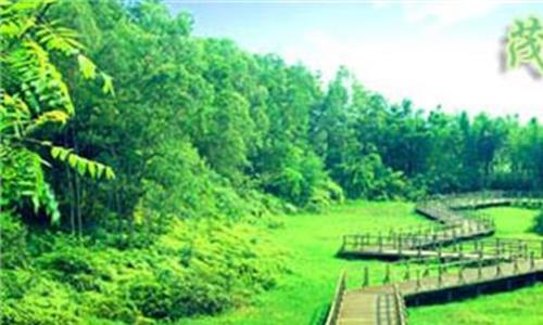 >天津森林公园 全国首部城市森林公园保护条例 今起施行