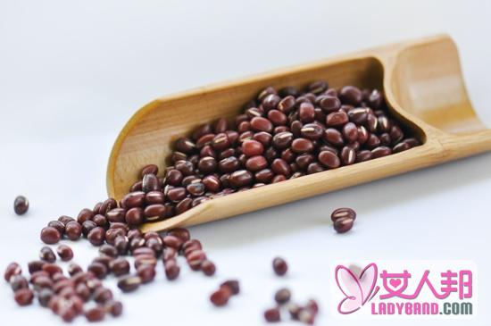 >红芸豆的功效与作用 多吃可延年益寿