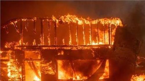 美国加州大火烧了多久 美国加州大火动物遭遗弃:马跳入游泳池避火(图)