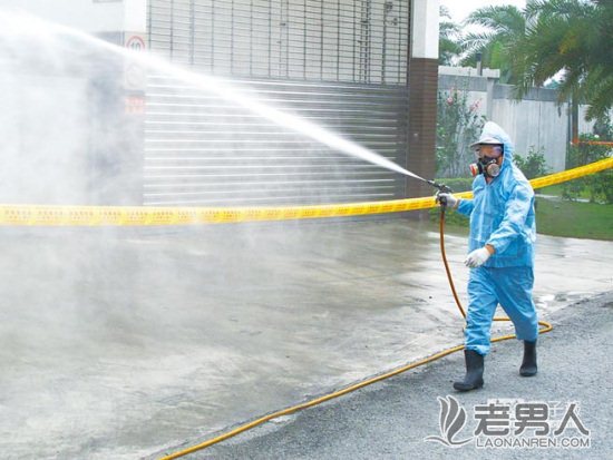 >台湾屏东爆发H5N2禽流感捕杀12万只鸡(图)