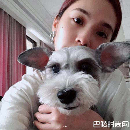 杨丞琳13年爱犬罹患肥大细胞瘤心痛