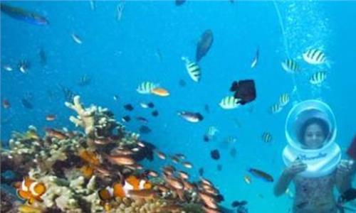 珊瑚岛地理位置 马尔代夫:最美珊瑚岛国 一生必去的旅游胜地