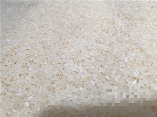 >粳米和籼米的区别 粳米和籼米哪个好吃