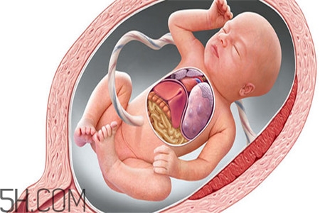 胎儿缺氧胎心会正常吗？胎儿缺氧还会打嗝吗？