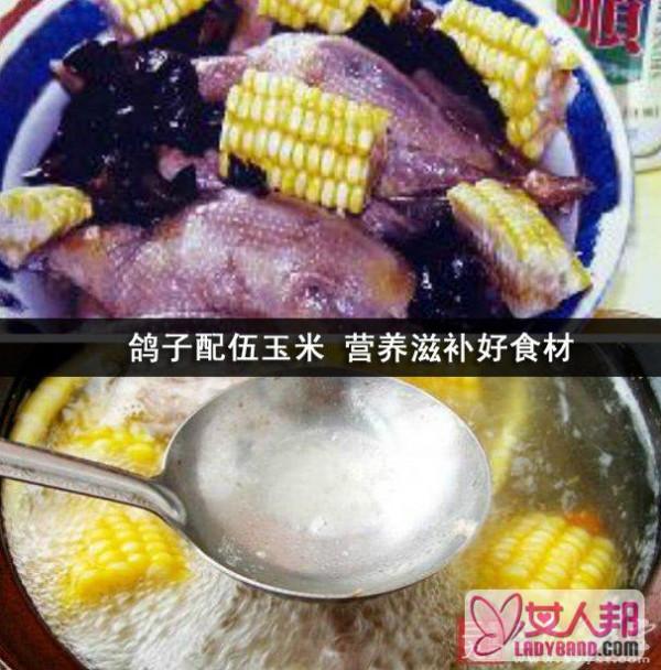 鸽子配伍玉米 营养滋补好食材