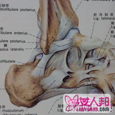 >踝关节韧带损伤怎么办？ 4招教你如何预防韧带损伤