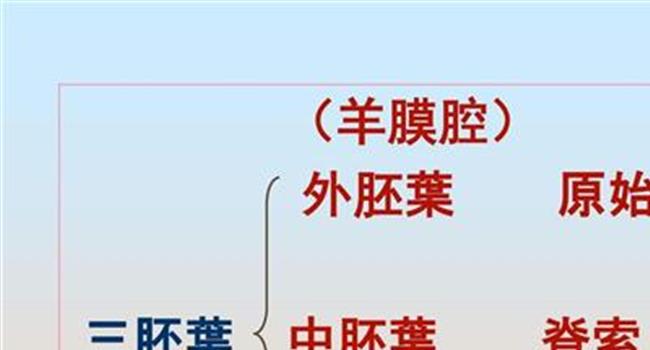 【羊膜腔穿刺术引产步骤】羊膜腔穿刺引产术多久