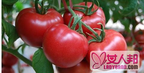 >西红柿的食用方法与禁忌