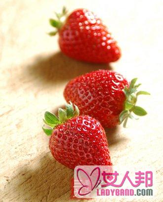 >草莓 草莓的营养价值