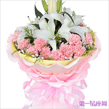 粉色康乃馨花语是什么?