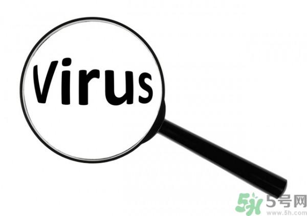 寨卡病毒蚊子如何预防？怎么预防寨卡病毒蚊子？