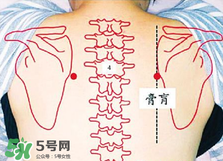 膏肓的准确位置图 膏肓穴痛跟什么有关