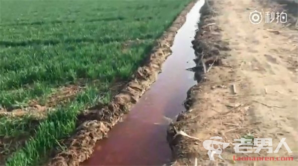 >工厂污染致红水浇地 村民不敢吃将粮食全卖了