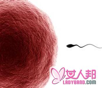 精子和卵子结合需要多长时间_精子和卵子结合过程