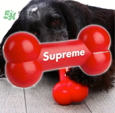 supreme狗骨头玩具是真的吗？supreme骨头玩具会发售吗？