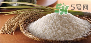生虫的大米可以吃吗?如何防止大米长虫?