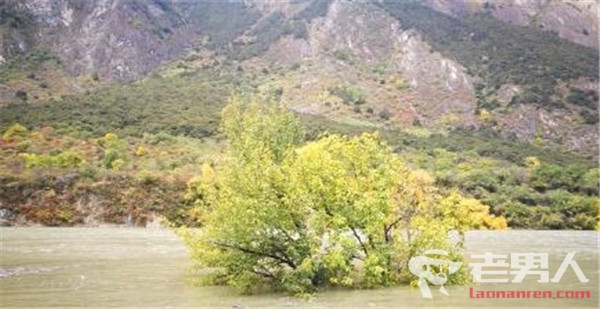 雅鲁藏布江发生山体滑坡形成堰塞湖 目前尚无人员伤亡