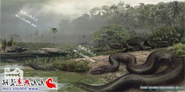 >沈培艺前夫 沈培艺女儿:哥伦比亚出土6千万年前史前巨蟒泰坦巨蟒化石