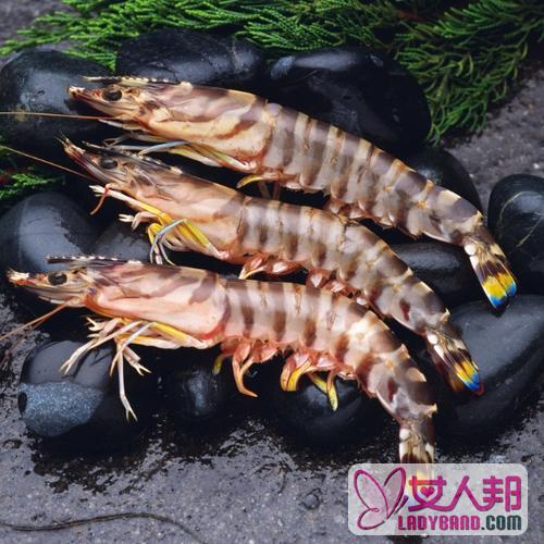 >海虾的功效与作用及食用方法_海虾的营养价值