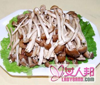 >【茶树菇】茶树菇的做法_茶树菇排骨汤_茶树菇的营养价值