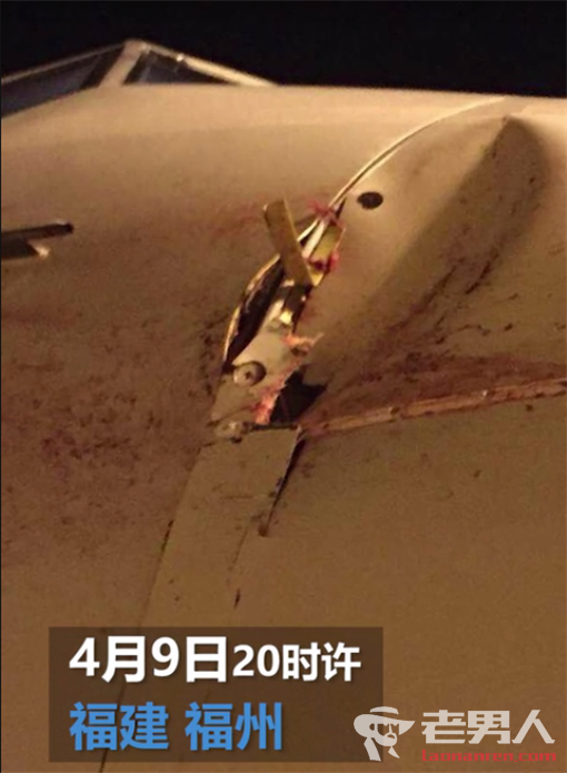 >航班遭遇鸟击返航 旅客平安落地没有人员伤亡