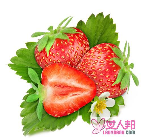 草莓的营养价值与食疗功效