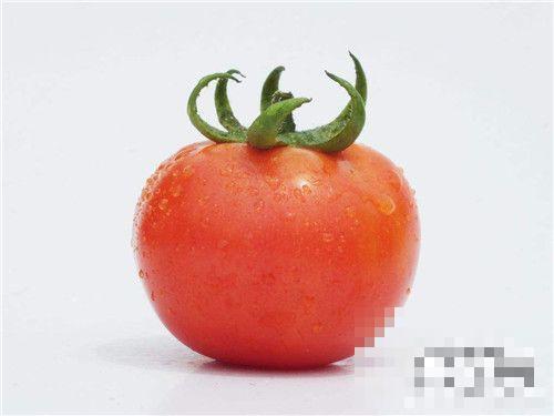 >晚上吃番茄可以减肥吗 番茄减肥法一周瘦十五斤