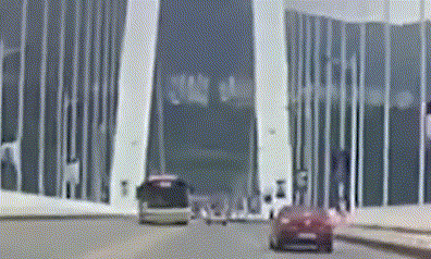 重庆公交车坠江事故最新进展 女司机解除控制回家