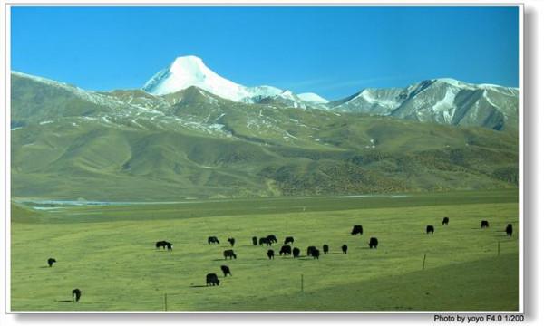 青藏高原伍国忠 青藏高原最大民用机场旅客增幅创近5年新高