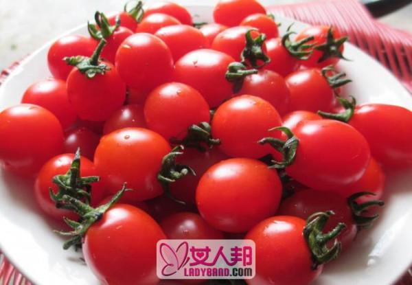 >小西红柿的功效与作用 吃小西红柿的好处