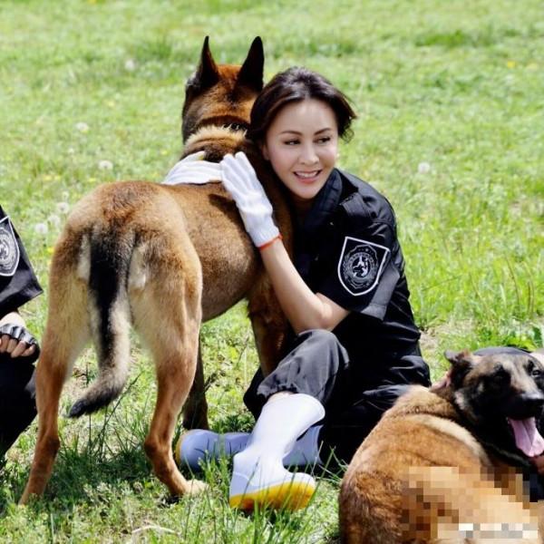 >刘嘉玲穿制服戴墨镜训练警犬 尽显帅气风范