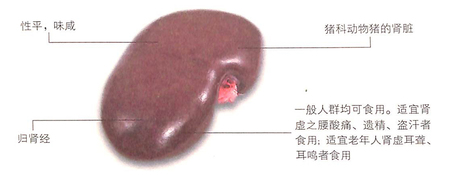 大寒节气吃猪腰和肾补腰,利尿消肿