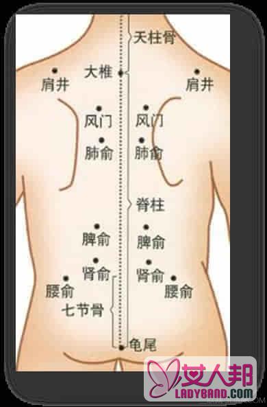 末伏养生重清补祛湿邪