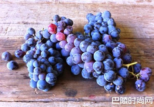 盘点各国小众葡萄品种