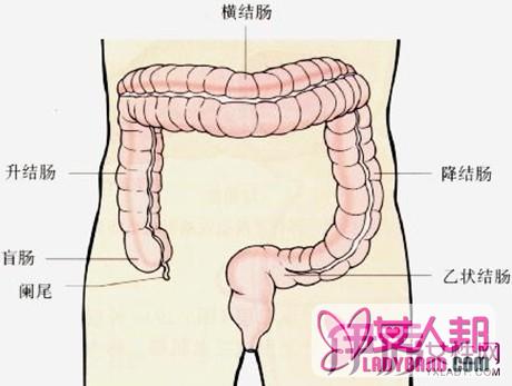 >慢性结肠炎会癌变吗？ 食疗法教你抑制病情