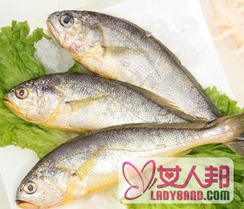 【黄鱼】黄鱼怎么做好吃_小黄鱼的营养价值_红烧小黄鱼的做法