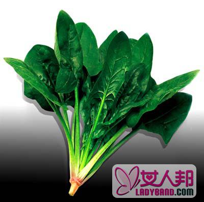 >超级营养蔬菜最新排名 菠菜居榜