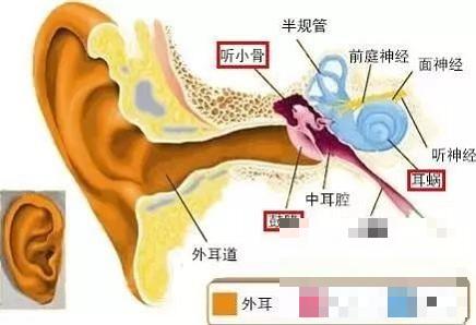 >中耳炎怎么治疗_中耳炎的症状有哪些？推荐分类