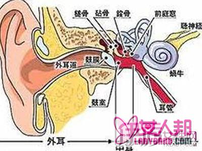 >剧烈耳痛是耳膜炎症状之一 患者应妥为治疗以防发耳疾危害