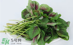 孕妇能吃苋菜吗？孕妇可以吃苋菜吗？