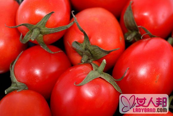 西红柿能减肥吗 西红柿为什么能减肥
