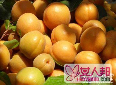 杏子的功效 常吃杏子可以有效预防心脏病
