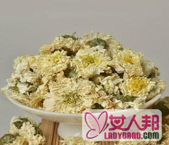 >【菊花】菊花的功效与作用_菊花茶的泡法_经期能喝菊花茶吗