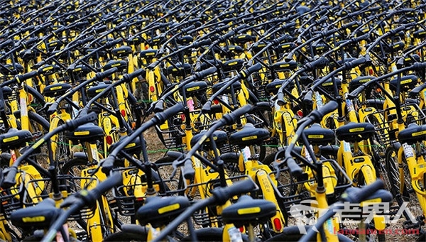 >探访南京共享单车死城 荒草丛中堆放大量共享单车
