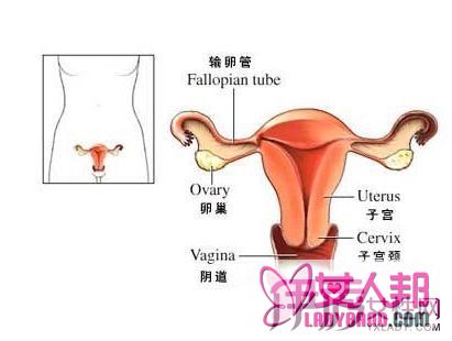 >子宫内膜增厚常见的症状 女性子宫内膜厚怎么办
