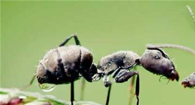 【飞蚂蚁平台】飞蚂蚁跨界携手 Keep 让闲置“不止于终点”