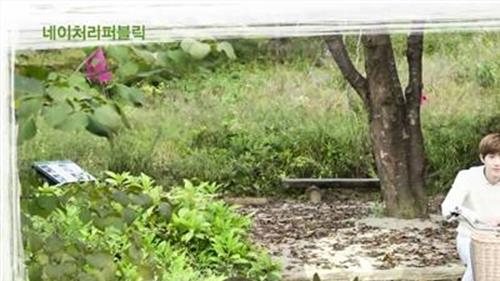 韩国自然乐园 主题乐园赛道拥挤 自然乐园战略能突出重围吗?