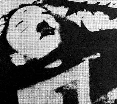 菠萝头子的种植方法/纳粹头子希特勒自杀时的现场照片(组图)