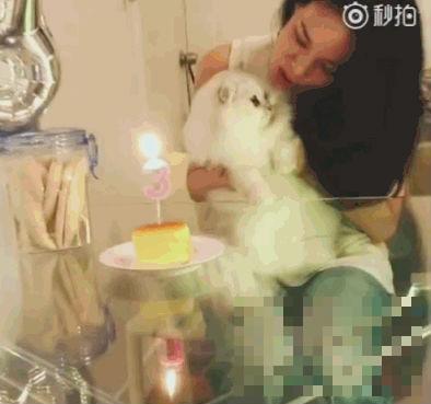 >舒淇为爱猫庆祝三岁生日问题来了:拍视频的是谁